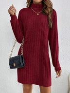 Katalin | Women's Ribbed Turtleneck Long Sleeve Dress
