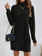 Katalin | Women's Ribbed Turtleneck Long Sleeve Dress