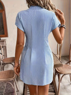 Milou | Women's Striped Button-Front A-Line Shirt Dress