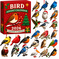 Bird Ornament Advent Calendar Christmas Gift Set