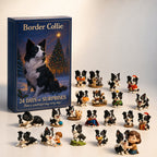Magali | Border Collie Advent Calendar Christmas Gift
